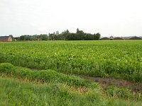 260-523,N,2011-08-01,NL-Tinus Knegt,260490-523830,Emmen