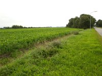 260-523,O,2011-08-01,NL-Tinus Knegt,260490-523830,Emmen