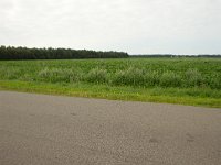 260-523,Z,2011-08-01,NL-Tinus Knegt,260490-523830,Emmen