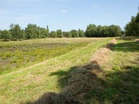 262-521,N,2011-08-02,NL-Tinus Knegt,262598-521417,Emmen