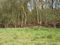 262-521,O,2011-04-12,NL-Tinus Knegt,262598-521417,Emmen