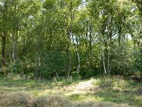 262-521,O,2011-08-02,NL-Tinus Knegt,262598-521417,Emmen