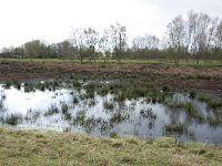 262-521,W,2011-04-12,NL-Tinus Knegt,262598-521417,Emmen