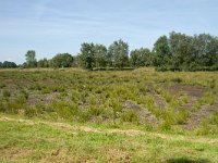 262-521,W,2011-08-02,NL-Tinus Knegt,262598-521417,Emmen