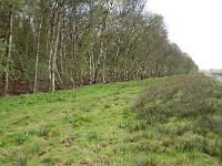 262-521,Z,2011-04-12,NL-Tinus Knegt,262598-521417,Emmen