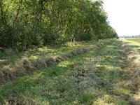 262-521,Z,2011-08-02,NL-Tinus Knegt,262598-521417,Emmen