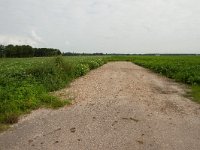 262-523,N,2011-08-01,NL-Tinus Knegt,262557-523539,Emmen