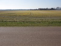 262-523,Z,2011-03-24,NL-Tinus Knegt,262557-523539,Emmen