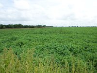 264-525,N,2011-07-25,NL-Tinus Knegt,264465-525342,Emmen