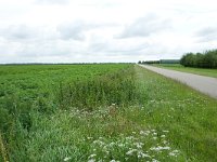 264-525,O,2011-07-25,NL-Tinus Knegt,264465-525342,Emmen