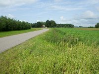 264-525,W,2011-07-25,NL-Tinus Knegt,264465-525342,Emmen