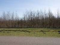 264-525,Z,2011-03-23,NL-Tinus Knegt,264465-525342,Emmen