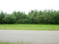 264-525,Z,2011-07-25,NL-Tinus Knegt,264465-525342,Emmen