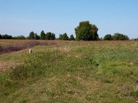 265-519, Emmen
