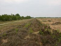 265-520, Emmen