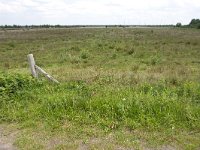 265-521,O,2011-07-19,NL-Tinus Knegt,265607-521667,Emmen