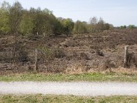 265-521,W,2011-04-11,NL-Tinus Knegt,265607-521667,Emmen