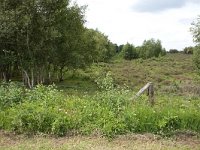265-521,W,2011-07-19,NL-Tinus Knegt,265607-521667,Emmen
