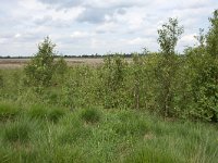 265-522,N,2011-07-19,NL-Tinus Knrgt,265544-522457,Emmen