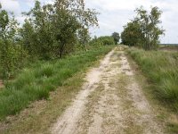 265-522,O,2011-07-19,NL-Tinus Knrgt,265544-522457,Emmen