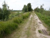 265-522,W,2011-07-19,NL-Tinus Knrgt,265544-522457,Emmen