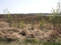 265-522,Z,2011-04-11,NL-Tinus Knegt,265544-522457,Emmen