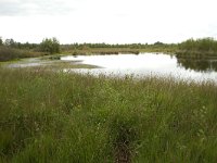 265-524,N,2011-07-29,NL-Tinus Knegt,265508-524680,Emmen