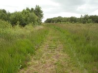 265-524,W,2011-07-29,NL-Tinus Knegt,265508-524680,Emmen