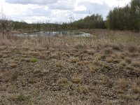 265-524,Z,2011-04-13,NL-Tinus Knegt,265508-524680,Emmen