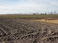 265-540,W,2014-02-14,NL-Tinus Knegt,265250-540580,Emmen