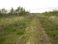 267-524,N,2011-07-29,NL-Tinus Knegt,267565-524312,Emmen