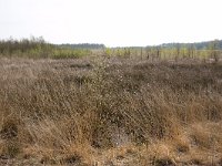 267-524,O,2011-04-11,NL-Tinus Knegt,267565-524312,Emmen