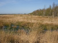 267-524,W,2011-04-11,NL-Tinus Knegt,267565-524312,Emmen