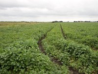 268-525,W,2011-07-29,NL-Tinus Knegt,268158-524972,Emmen