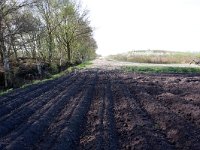 268-525,Z,2011-04-11,NL-Tinus Knegt,268158-524972,Emmen