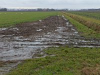 183-522, Z, 21-01-2011, NL-Eduard Hummelink, 52.686504 NB-5.808596 OL, Noordoostpolder