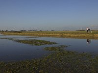 156-557, Sudwest-Fryslan