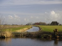 161-559, NL, Friesland, Sudwest Fryslan, Gaast, Saxifraga-Annemarie Hoogwoud02