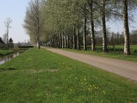 191-558, W, 2011-04-19, NL-T.Kwant, 53.012852 NB-5.924369 OL, Tjalleberd