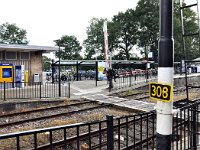 191-581, 3-Z, 2012-09-18, NL-Hans Knijff, 53.219047 NB-5.934799 OL, Tytsjerksteradiel