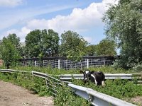 191-593, Dongeradeel