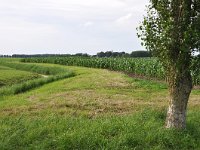 191-595, Dongeradeel