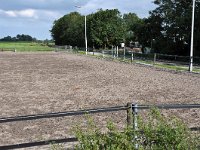 192-595, 2-O, 2011-08-04, NL-Hans Knijff, 53.345244 NB-5.948103 OL, Dongeradeel