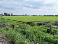 192-595, 3-Z, 2011-08-04, NL-Hans Knijff, 53.345244 NB-5.948103 OL, Dongeradeel