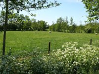 203-573, W, 2012-05-26, NL-Wim Huisman, 203518-573555, Smallingerland