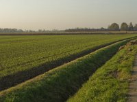 151-428, W, 2011-11-16, NL-Marijke Verhagen, 151161-428027, Neerijnen