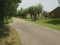 171-446, N, 10-8-2011, NL-Noor Dessing, 52.006653 NB-5.627189 OL, Ede