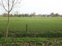 171-446, O, 5-11-2011, NL-Noor Dessing, 52.006653 NB-5.627189 OL, Ede