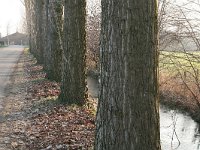 171-446, Z, 29-1-2011, NL-Noor Dessing, 52.006653 NB-5.627189 OL, Ede