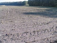 171-456, O, 2011-10-22, NL-Theo Boessenkool, 52.09626 NB- 05.62711 OL, Ede